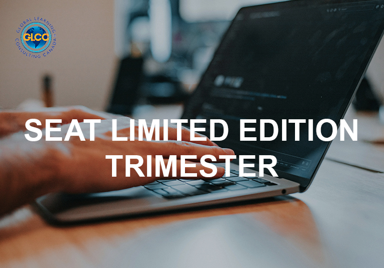 SEAT LIMITED EDITION TRIMESTER
